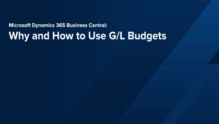 Why and How to Use G/L Budgets